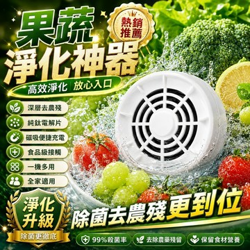 品質優選 無線蔬果淨化機 水果清洗機 蔬果淨化器 旋轉洗菜機 食材清洗機 殺菌去除農 殺菌率99.9% 超音波蔬果清洗機