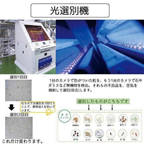  岩手県産 白米 銀河のしずく 5kg