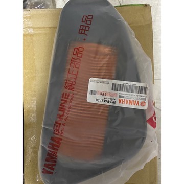 空氣濾網（GTR125)