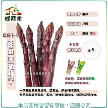 C21-1.甜紫蘆筍種子2顆 // 一代交配紫美紫蘆筍。莖紫色，顏色特殊漂亮。紫色莖較綠色莖甜、柔嫩。根莖類【綠藝家】