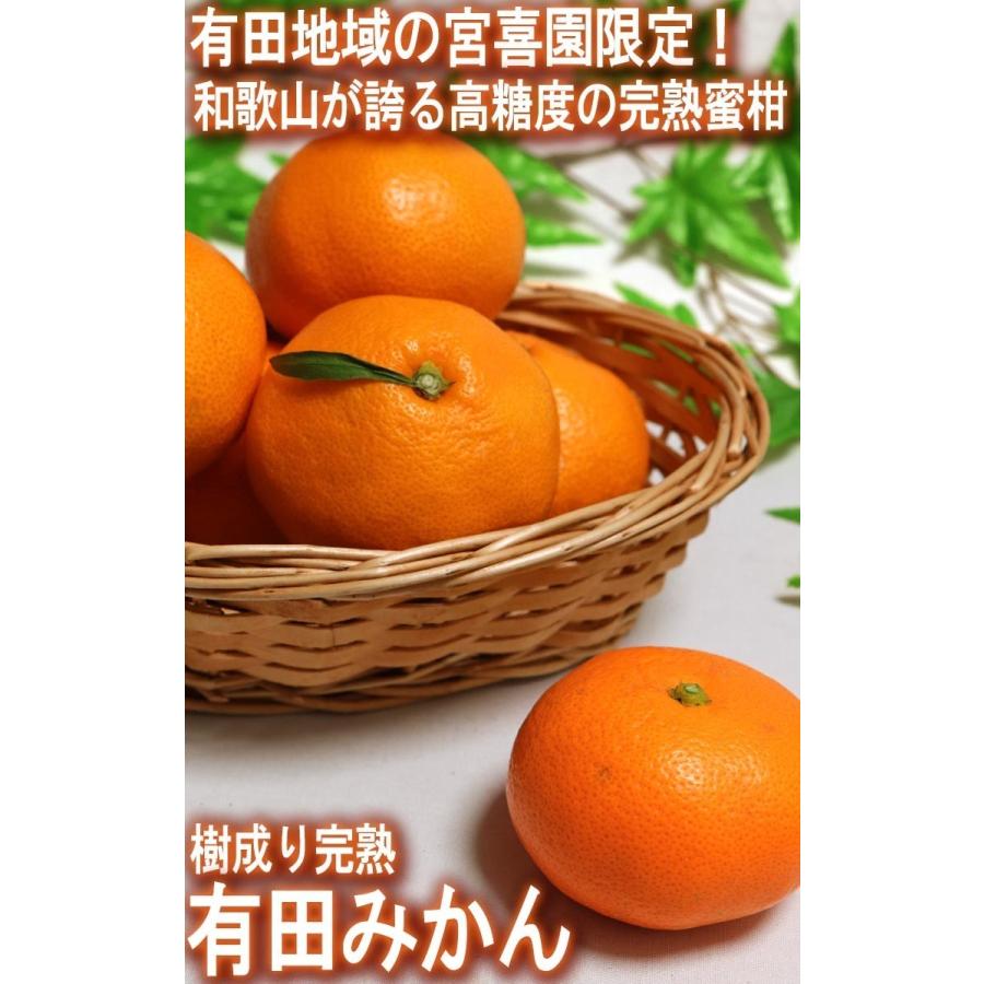 樹成り完熟 有田みかん 宮喜園限定 約5kg 和歌山県産 贈答規格 農園指定蜜柑 実測糖度14度超の濃厚な味！有田地域の個人農家が手掛けた抜群の美味しさ