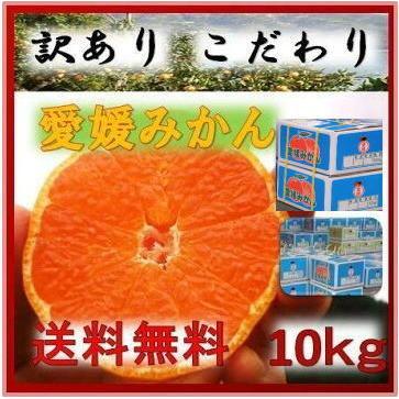 愛媛みかん１０ｋｇ 2ケース西宇和産　送料無料 無選別