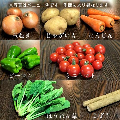 日本の有機野菜セット［7種類］季節の旬 有機農法 野菜 詰め合わせ 日本全国ご当地生産者 有機栽培 ベジタブル スムージー 野菜材料