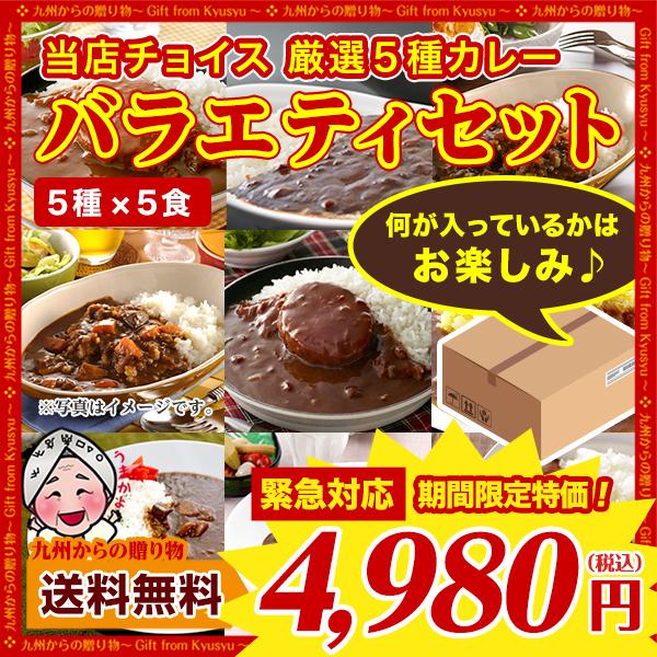 グルメ まとめ買い 当店チョイス 厳選カレー 計25食 バラエティセット ご当地 レトルトカレー 食品 送料無料 得トクセール オープン記念 お取り寄せ q1