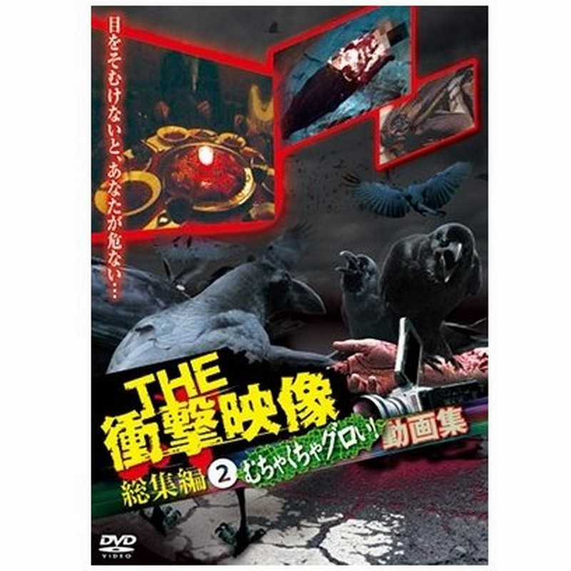 The 衝撃映像 総集編2 むちゃくちゃグロい 動画集 Dvd 通販 Lineポイント最大0 5 Get Lineショッピング