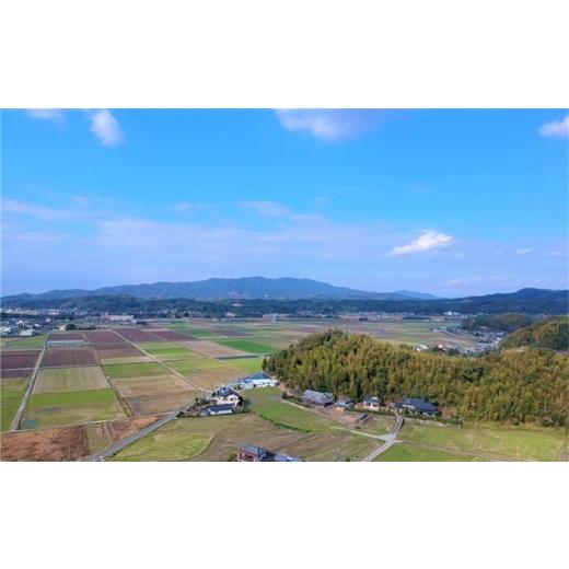 ふるさと納税 熊本県 玉名市 熊本県産「ヒノヒカリ」10kg×12カ月