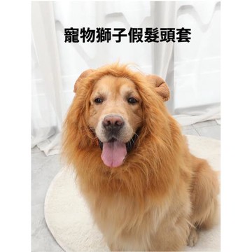IN7 寵物獅子假髮頭套 搞怪變身寵物創意服飾