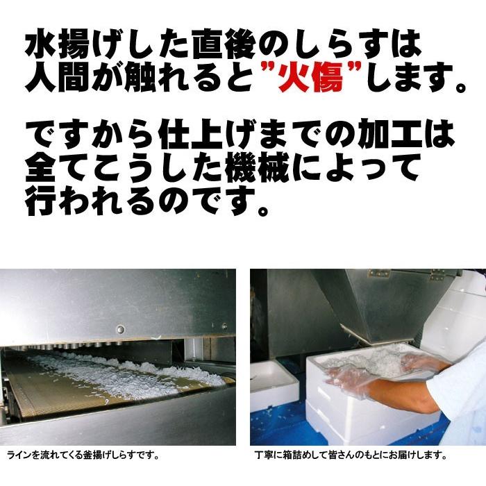 釜揚げしらす 1kg （250g×4p） 愛媛 佐田岬産 冷蔵便 浜から直送 無添加・無着色 送料無料 北海道・沖縄・東北は別途送料 宇和海の幸問屋