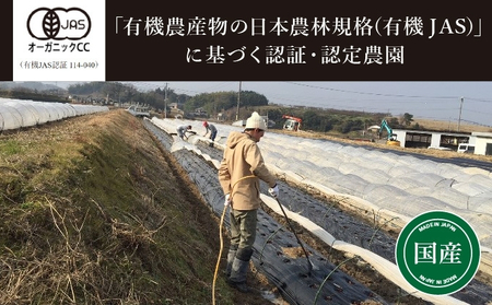 野菜 詰め合わせ よしむら農園 オーガニック おまかせ セット 一人暮らし おすすめ 野菜炒め 無添加 旬 香川県 安全 安心 有機栽培 JAS 栄養 贅沢 国産 大容量 人気 新鮮 今が旬