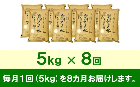 3人に1人がリピーター! ☆全8回定期便☆ 岩手ふるさと米 5kg×8ヶ月 令和5年産 新米 一等米ひとめぼれ 東北有数のお米の産地 岩手県奥州市産[U0143]