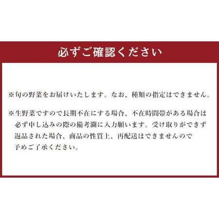 ふるさと納税 生産者応援 採れたて新鮮 旬のお野菜 詰め合わせセット 熊本県西原村