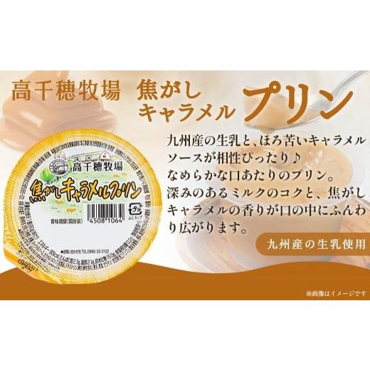 ふるさと納税 宮崎県 都城市 高千穂牧場ヨーグルトドリンクバラエティセット(プリン付き)_MJ-1609_(都城市) 乳製品 ヨーグルト 苺ヨ…