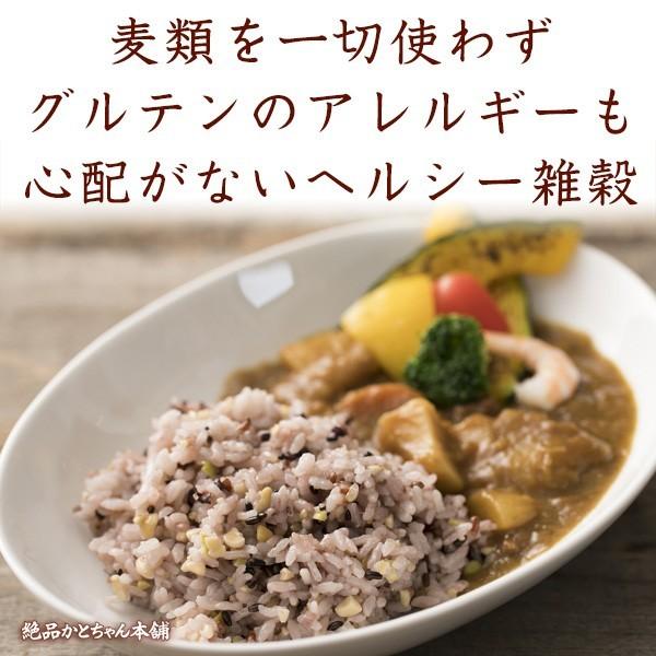 雑穀 雑穀米 国産 グルテンフリー雑穀 9kg(450g×20袋) 送料無料 麦抜き雑穀 18穀米 麦無し 18穀米 ダイエット食品 雑穀米本舗