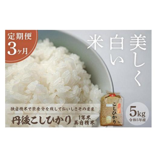 ふるさと納税 京都府 京丹後市 定期便 令和5年産 新米 美白精米 丹後こしひかり 5kg×3ヵ月 1等米