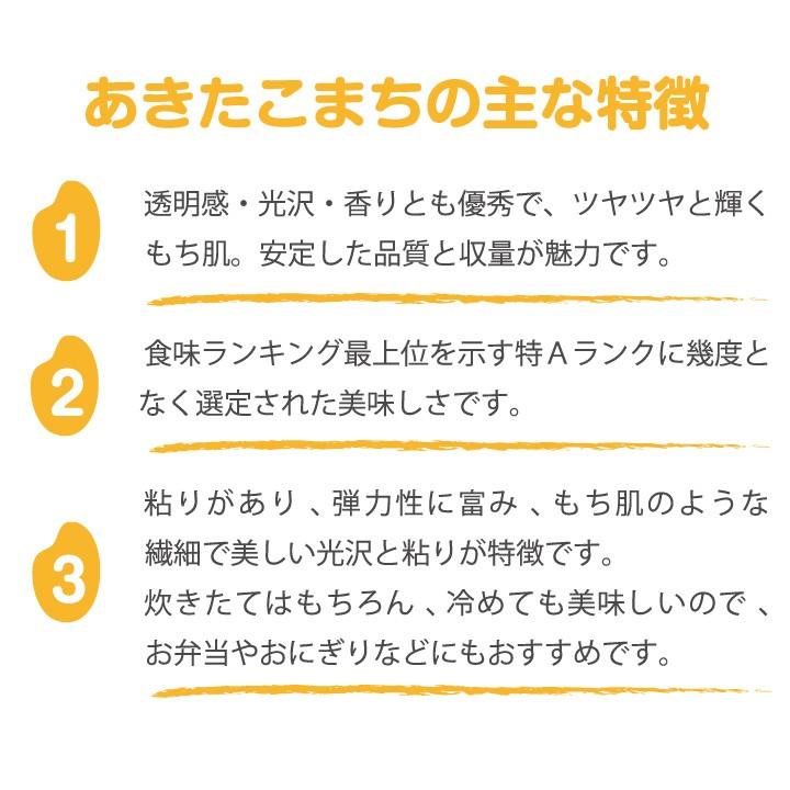 令和5年産 新米 あきたこまち 特別栽培米 5ｋｇ 米農家の店長セレクト 秋田 県南 送料無料