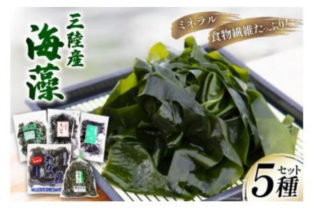 三陸産 海藻 5種セット わかめ 茎わかめ ひじき ふのり 昆布 [さんりくみらい 宮城県 気仙沼市 20562635]