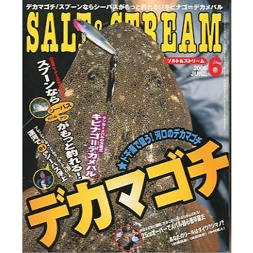 SALTSTREAM（ソルト＆ストリーム）　２００５年６月号　　＜送料無料＞