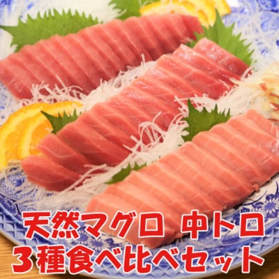 天然マグロ中トロ3種食べくらべセット(本マグロ、ミナミマグロ、メバチマグロ　中トロ各1柵)