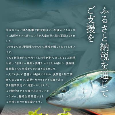 ふるさと納税 芸西村 高知の海鮮丼の素「ブリの漬け」1食80g×5P 「マグロの漬け」1食80g×5P