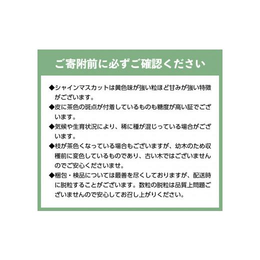 ふるさと納税 山梨県 甲府市 〈2024年度配送分〉特選 シャインマスカット 2房(約1.2kg)