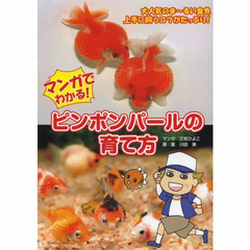 マンガでわかる ピンポンパールの育て方 ビギナーのためのピンポンパール セッティング 大人気のま るい金魚 上手に飼うコツがたっぷり 通販 Lineポイント最大2 0 Get Lineショッピング