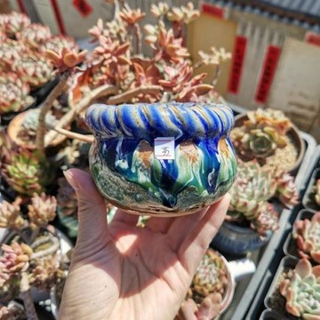 7.6景德鎮玩一手捏粗陶多肉花盆 麻花口噴釉孤品 冰裂馬卡龍