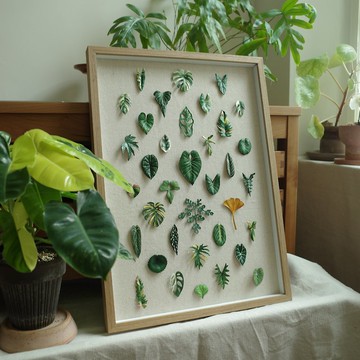 36葉觀葉植物皮革相框