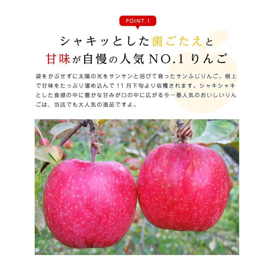 送料無料 青森県産蜜入りサンふじ9-11玉 約3kg りんご 3kg 蜜入りりんご 蜜りんご