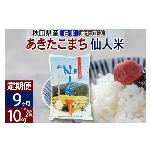 ふるさと納税 秋田県 東成瀬村 新米 令和5年産 あきたこまち 秋田県産「仙人米」白米 10kg（5kg×2袋）