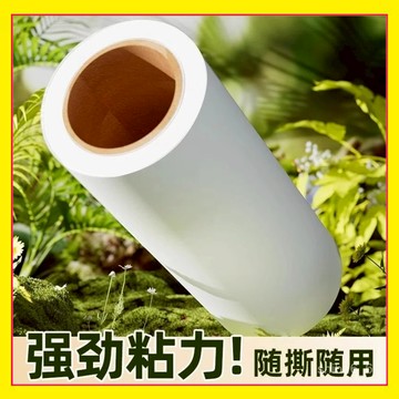 🔥現貨下殺🔥 粘毛器滾筒紙 黏毛刷捲紙 強力黏塵紙 替換捲紙 黏塵紙 除塵紙 黏毛紙 捲筒黏紙 黏毛刷補充紙1015