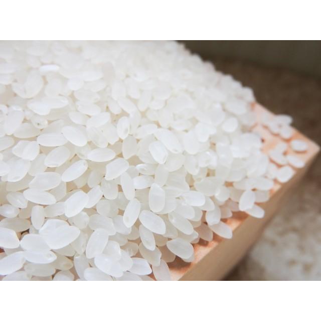 米 お米 2kg 玄米 岐阜県産 美濃ハツシモ 5年産 特別栽培米