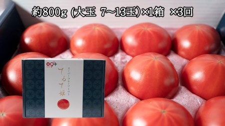   スーパーフルーツトマト てるて姫 小箱 約800g×3回お届け！ 糖度9度以上 (2024年2月より発送開始) トマト とまと 野菜 茨城県産 [BC052sa]