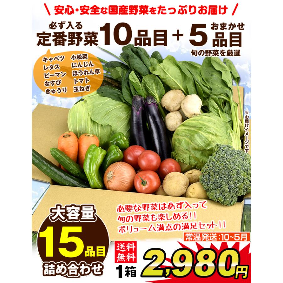 15品目の野菜セット 常温便 送料無料 食品