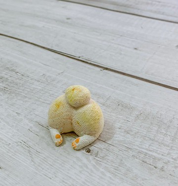 室內香氛造型擴香石-狗屁屁 /科基屁屁 / 附5ml香精油+強力磁鐵