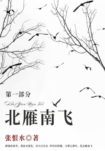 【電子書】北雁南飞·第一部分（张恨水经典小说）