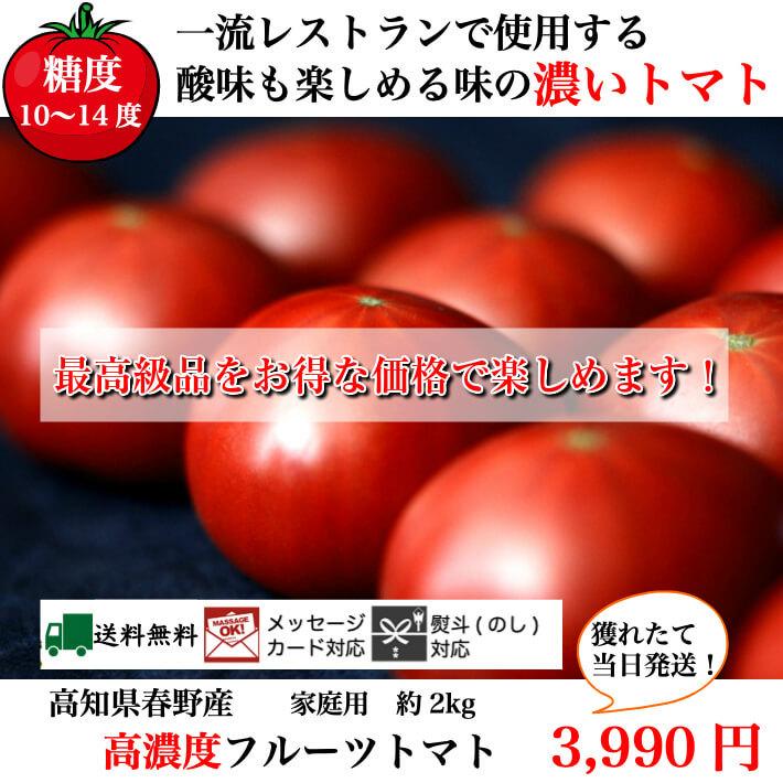 ＼12月中旬発送予約／ トマト フルーツトマト 高知県産 高濃度 ミニトマト 約2kg 高級 訳あり ギフト