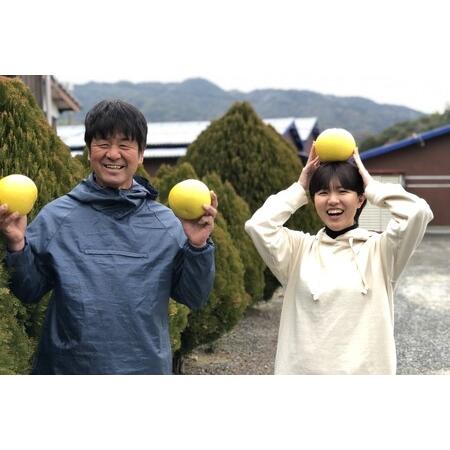 ふるさと納税 彩り柑橘園の土佐文旦家庭用10kg（大玉） 高知県宿毛市