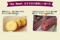 大洗産 さつまいも 紅はるか 2.5kg （8本前後） 「Sea Sweet」 長期熟成 茨城県産 サツマイモ 土付き 生芋 芋 さつま芋 薩摩芋 甘藷 べにはるか