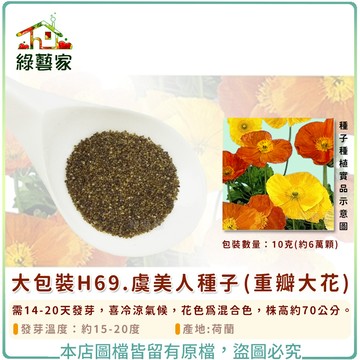 大包裝H69.虞美人種子10克(約6萬顆)(重瓣大花) 需14-20天發芽，喜冷涼氣候，花色為混合色【綠藝家】