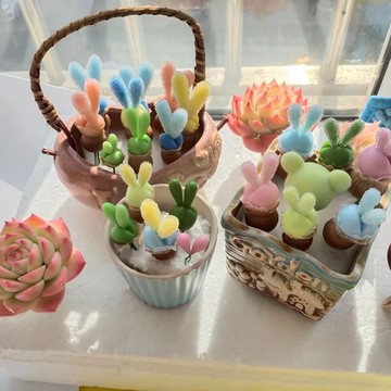 現貨 兔子多肉種子（100粒） 絕版多肉藍兔子盆栽碧光環 綠兔子多肉盆栽 Monilaria moniliformis