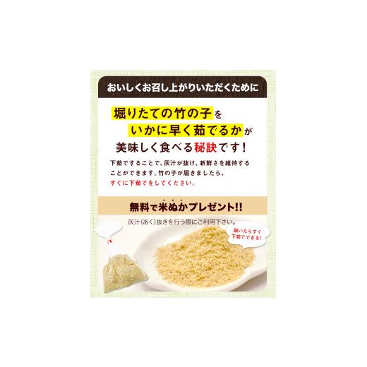 ふるさと納税 熊本県 御船町 熊本県 御船町 掘りたて たけのこ 2kg タケノコ 竹の子 冷蔵 ギフト グルメ 野菜 お祝い 春 筍《2024年3月…