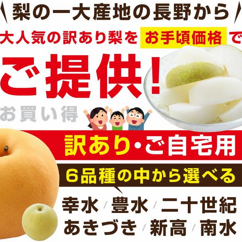 訳あり 梨 10kg 送料無料 長野県産 選べる品種！ 幸水 豊水 二十世紀