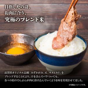 ふるさと納税 近江牛 もも 赤身  すき焼き しゃぶしゃぶ すきしゃぶ用 500g と お肉に合う湖華舞米 2kg セット 和牛 近江牛 黒毛和牛 近江牛 三.. 滋賀県竜王町