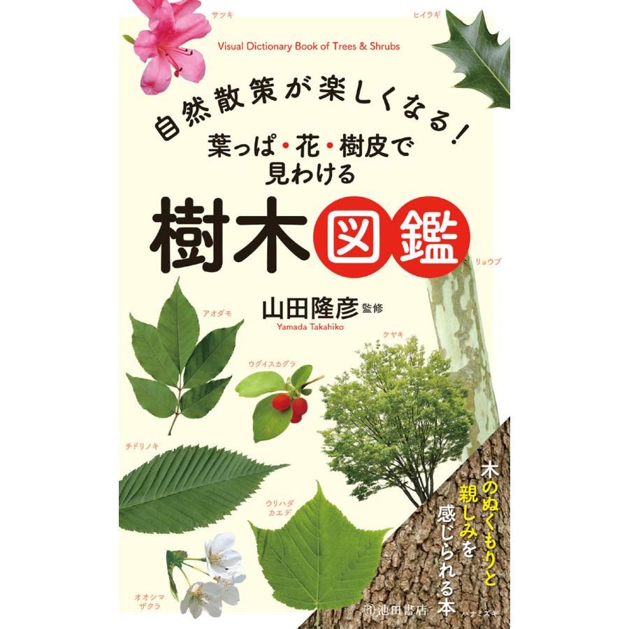 自然散策が楽しくなる 葉っぱ・花・樹皮で見わける 樹木図鑑