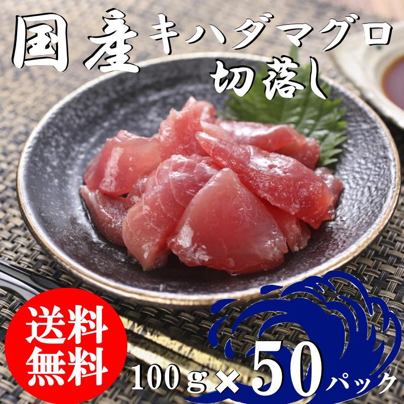 （送料無料）国産マグロ切落し（上）　100ｇ×50パックセット　キハダマグロ　配送不可地域あり　きはだまぐろ　代引き不可