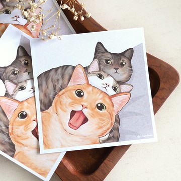 貓貓們的自拍照 小方卡 方形明信片 萬用卡 可愛 插畫 貓咪