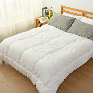 精工坊-遠紅外線抗菌蓄熱冬被(雙人)