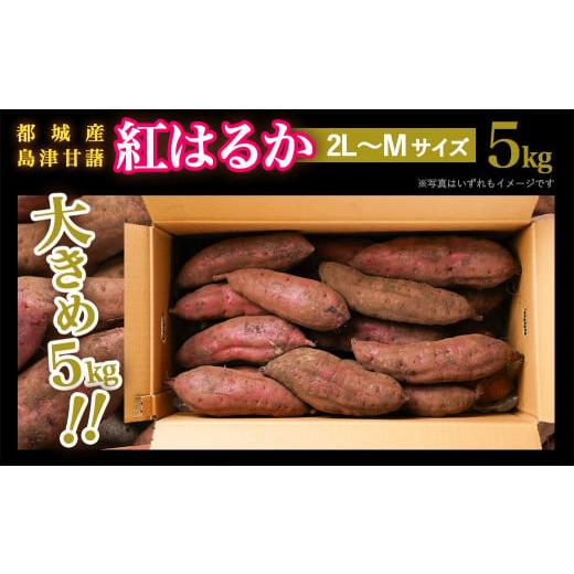 ふるさと納税 宮崎県 都城市 島津甘藷　熟成紅はるか 5kg(2L〜M) _LD-A701_(都城市) 幻のサツマイモ 幻の品種 紅はるか 5kg 2L〜M ベジエイト