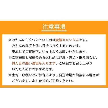 ふるさと納税 蔵出しみかん　家庭用（SS〜LLサイズ）混合10kg 和歌山県海南市