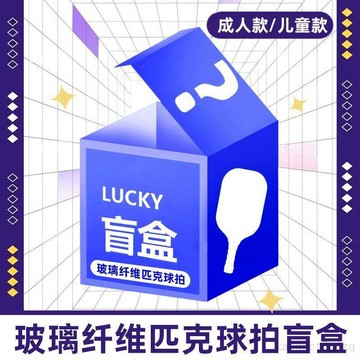 【台灣出貨】球拍套組盲盒 匹克球拍組 1拍 單肩背包 玻纖拍 玻璃纖維 pickleball 洞洞球